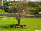 Luis Muñoz Marín Park - SAN JUAN